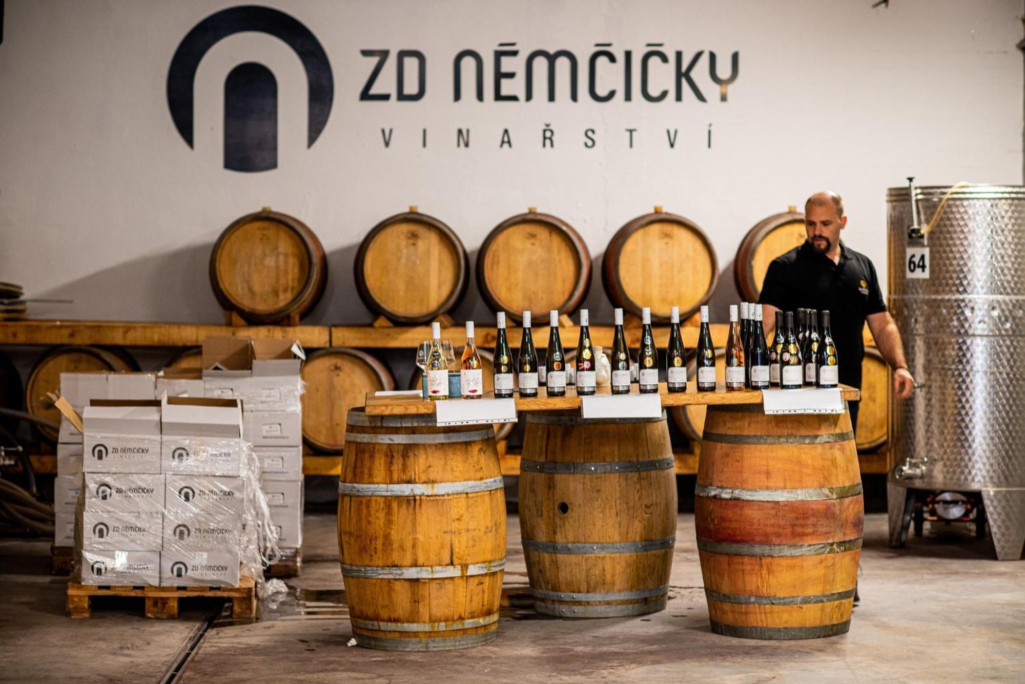 Ubytovani Ve Vinarstvi Zd Nemcicky Екстер'єр фото